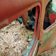Illustration for article titled DIOCCUSA: A Not At All Rust-Proof Renault